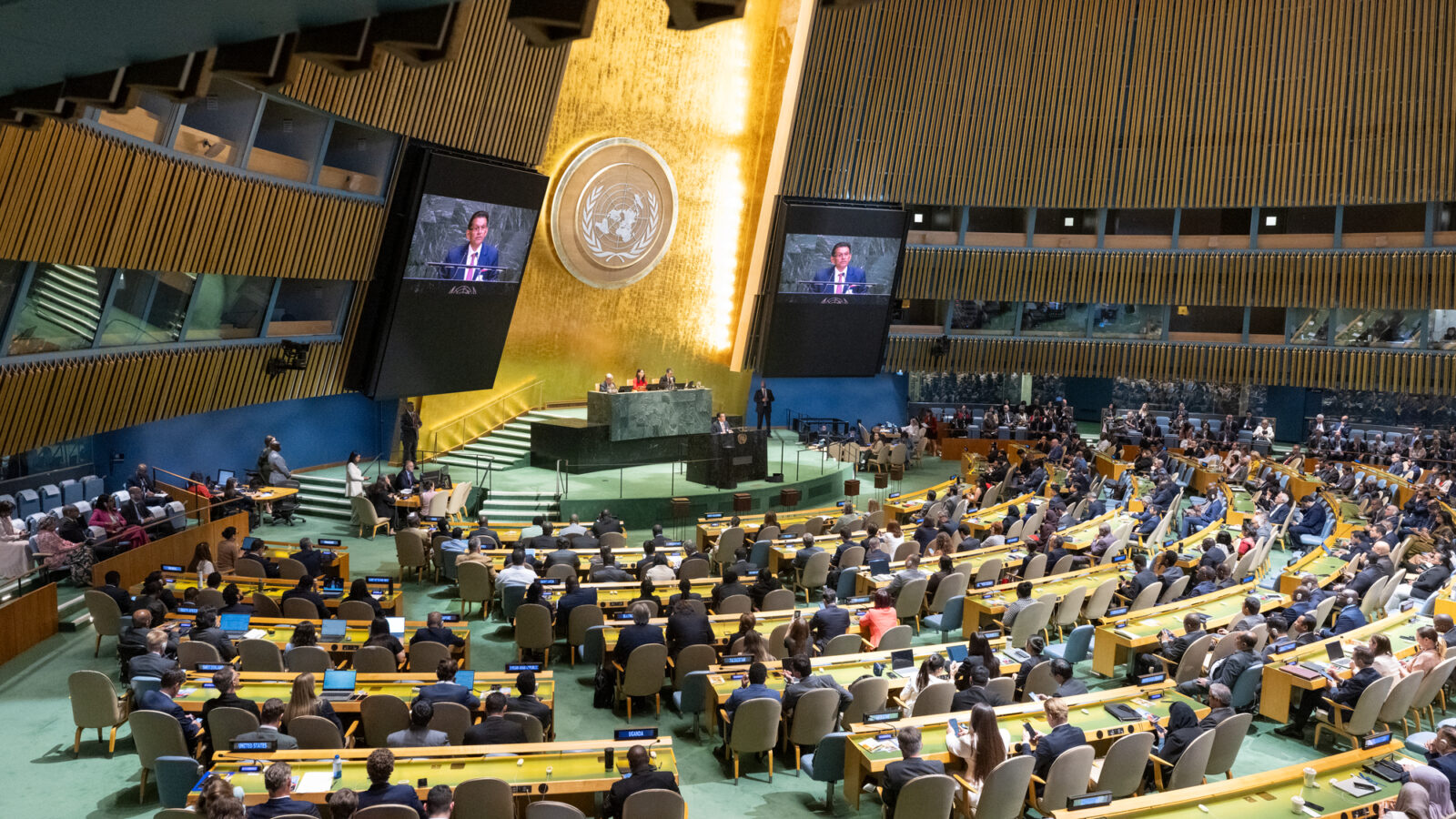 UN General Assembly